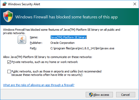 Windows 10 Security Alert Screen
